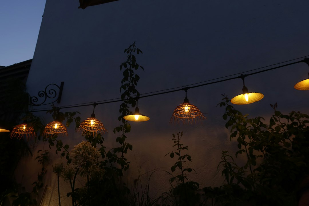 Warm outdoor pendant lights lighting a patio with climbing plants — illustrative stock photography